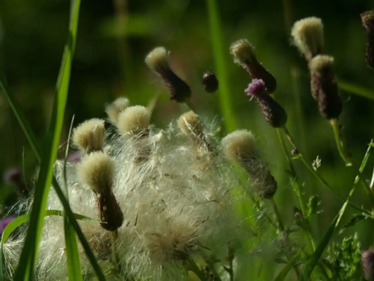 Technology Advancements Propel Growth in Crop Monitoring Market by 14.6%