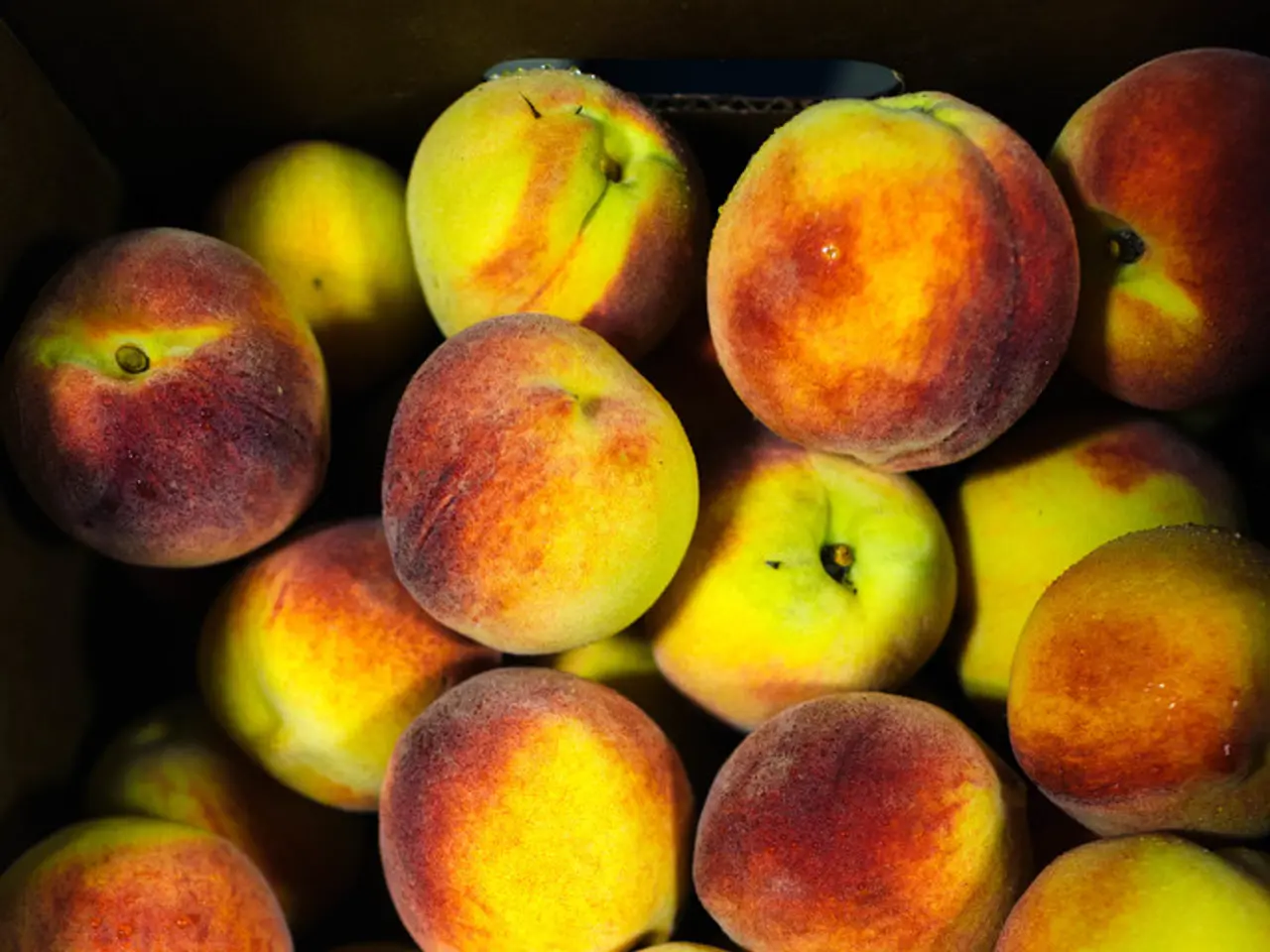 Safeguarding a Fresh Mac from Prevalent Viruses and Malware: A Guide