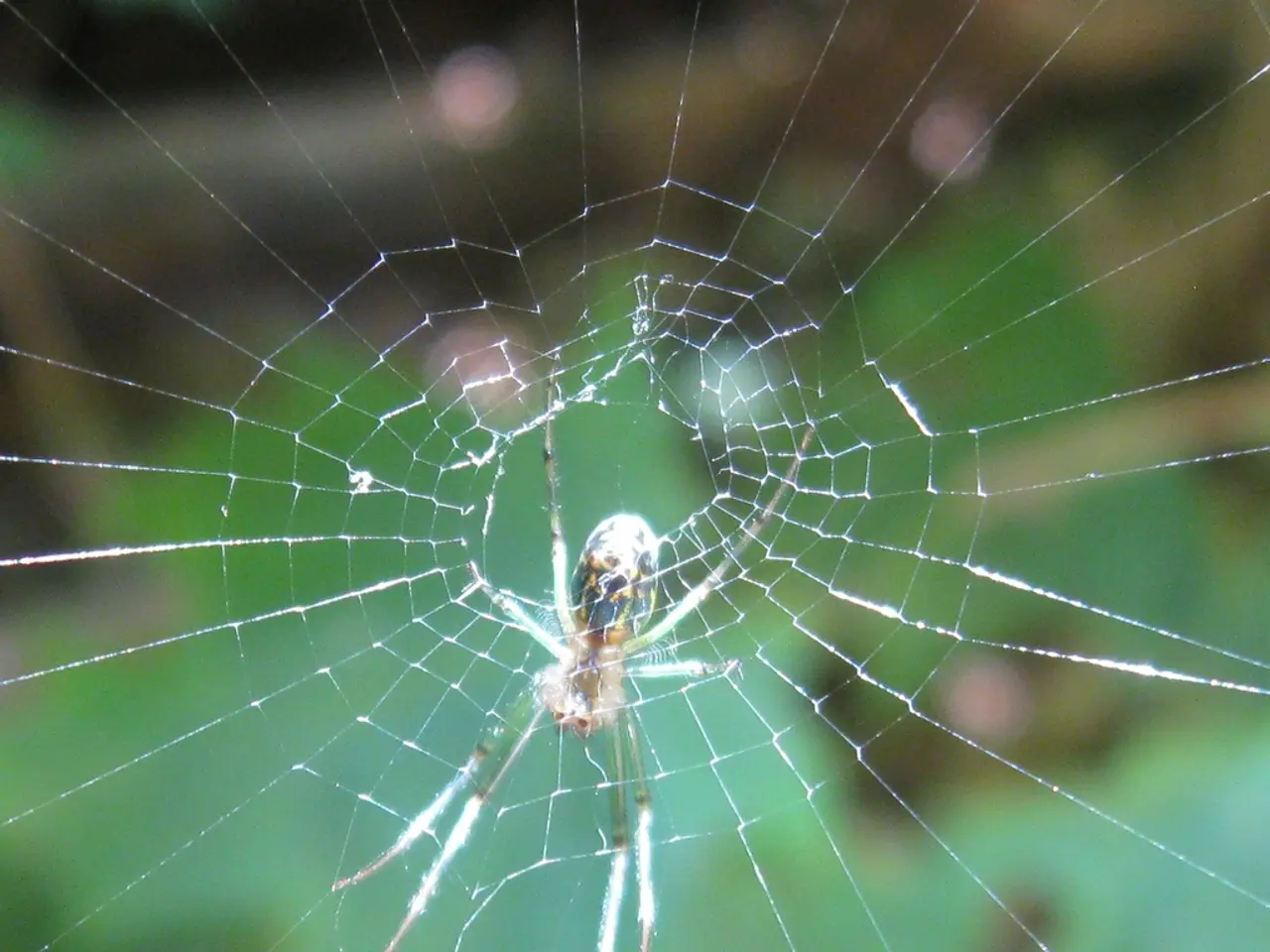 Developing a Strong Cybersecurity Structure for Your Australian Company