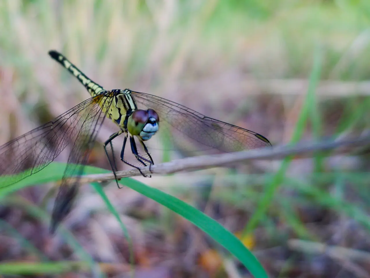 Value's dedicated fans aim to surpass the player count concurrent record for Portal, but the task...