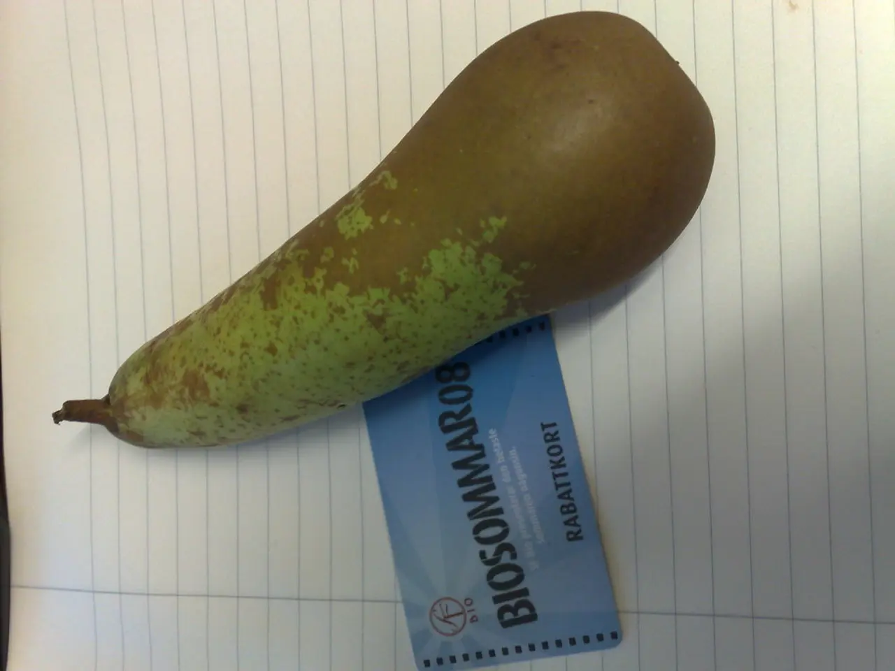 Mt. Gox Bitcoin Claims Targeted for Purchase by Strive, Involving 75,000 Coins