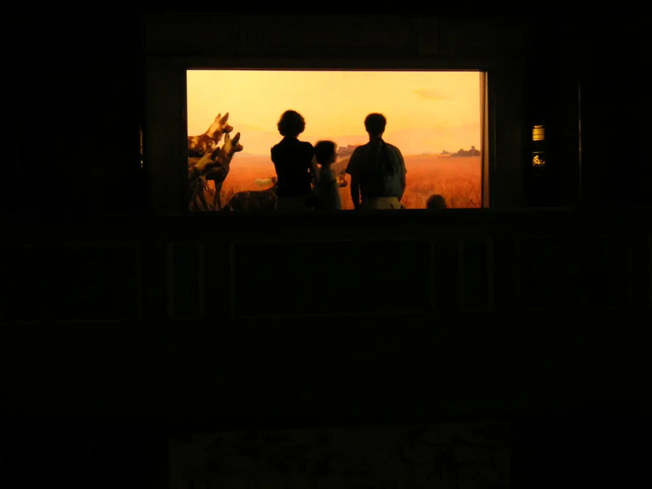 In this picture I can see a screen displaying few people, animals and I can see dark surroundings.