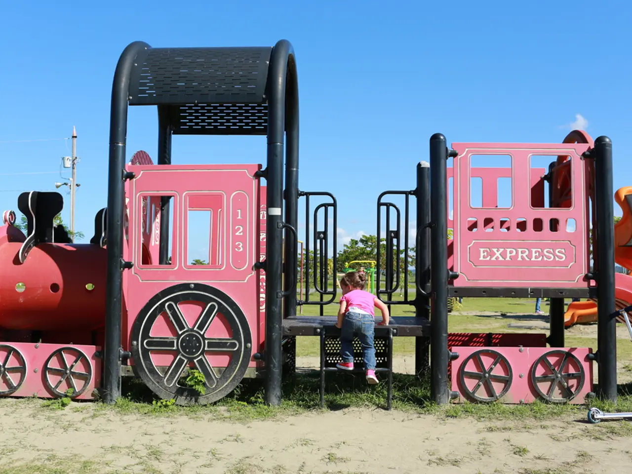 We can see playground equipment and a kid is climbing the steps of an equipment. In the background...