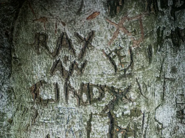 Bolivia's Cryptocurrency Explosion: Nearly Half a Billion Dollars in Transactions as Virtual Asset...