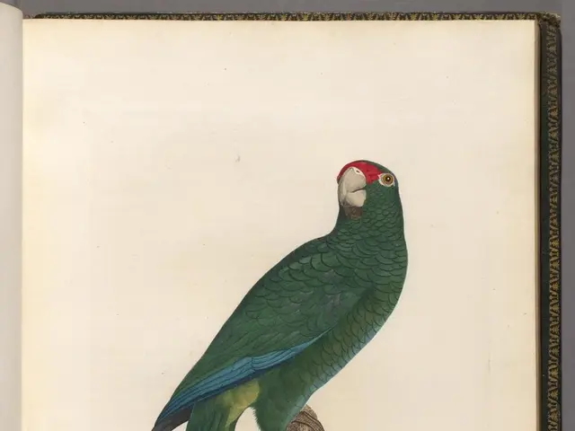 Three potential cryptocurrencies that might experience a Dogecoin-like surge and transform a $300...