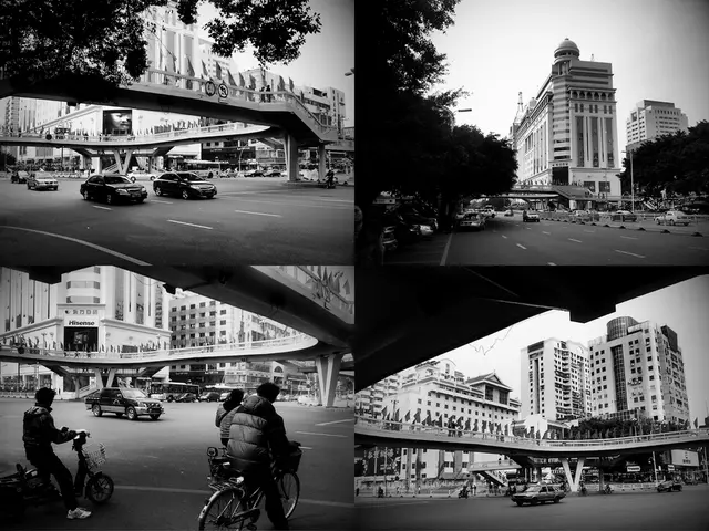 Social rentals in France will be reinstated starting from September