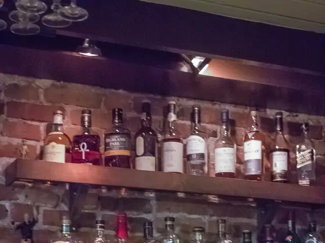 Utilizing Unsupervised Machine Learning for Pattern Recognition in Text Data