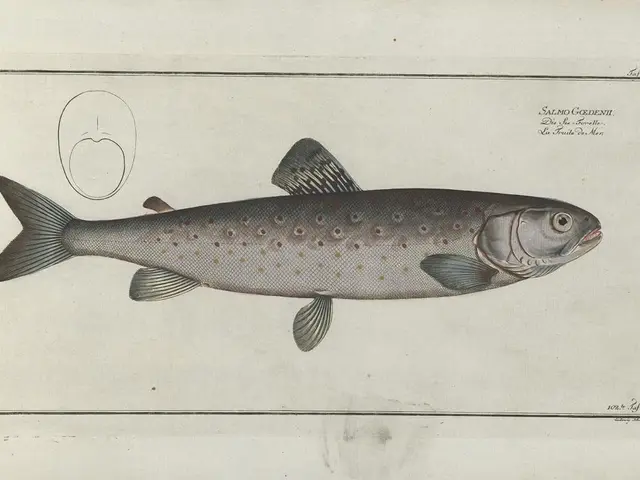 Demonstrating GPT-Engineer's Results Using Mermaid Diagrams