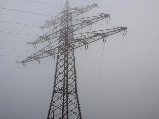 Probing the Effect of Magnetic Forces on Superconducting Substances: Exploring Their Influence