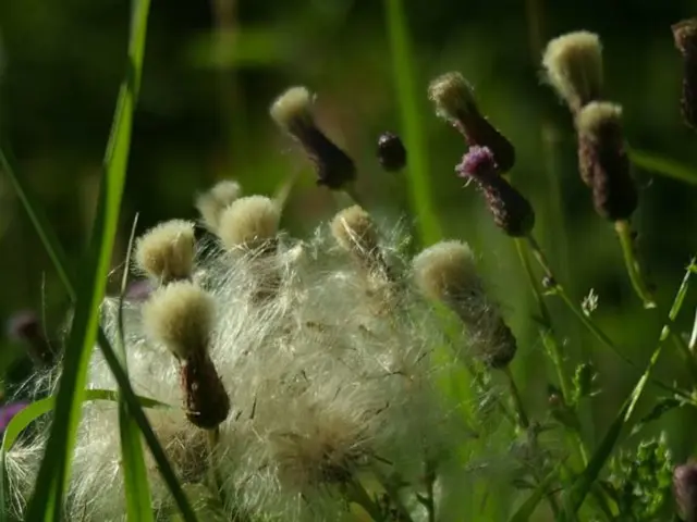 Technology Advancements Propel Growth in Crop Monitoring Market by 14.6%