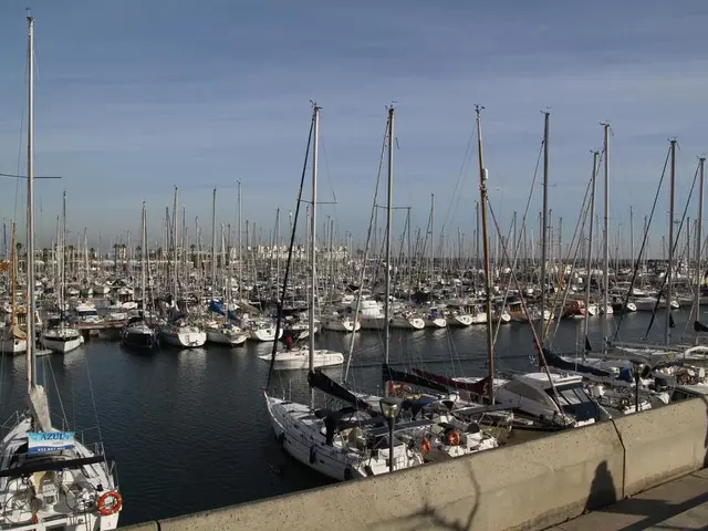 Freight optimization to be implemented through BlackBerry Radar by Direct ChassisLink Inc.