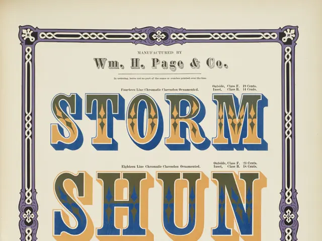 Differentiating Graphic Design and Web Design: An Overview