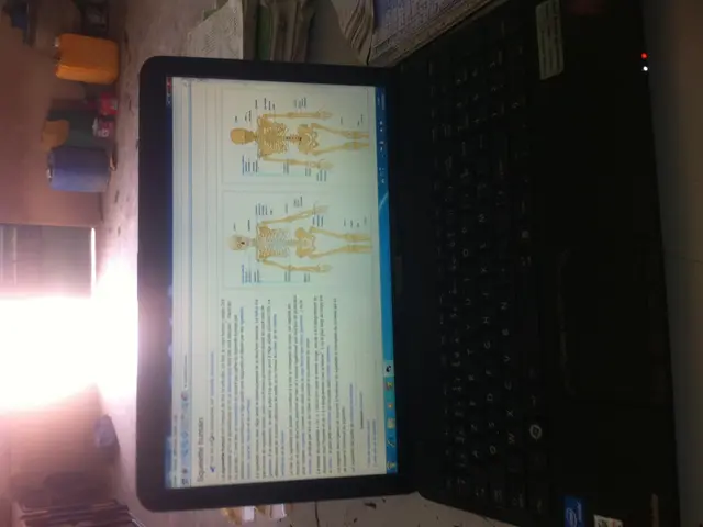 Affordable Analysis of Portable X6 SSD: Economical Speed Champion or Memory-Limited Contender?