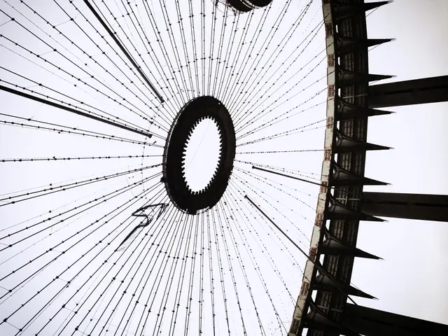 HD Cable Revolution: Sommer Cable's Innovation Unveiled