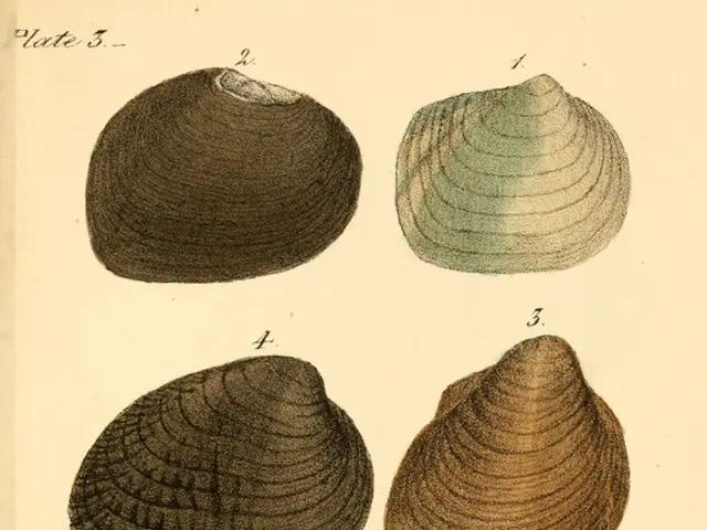 Open source community expresses concerns over a series of Linux vulnerabilities (CVEs), potentially...