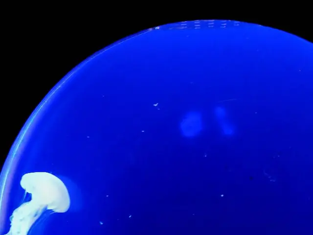 Ancient Lungfish Jawbones From 380 Million Years Ago Offer Insights into the Dawn of Earth's First...