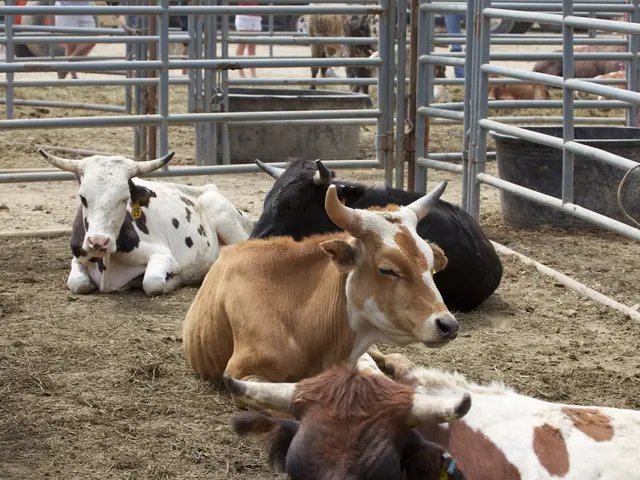 Increase in CoW Protocol by 23% due to accumulation of liquidity at $0.45: What follows next?