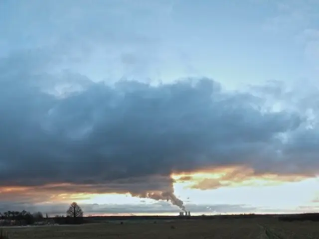 Adapting Business Strategies for a Climate Warming World