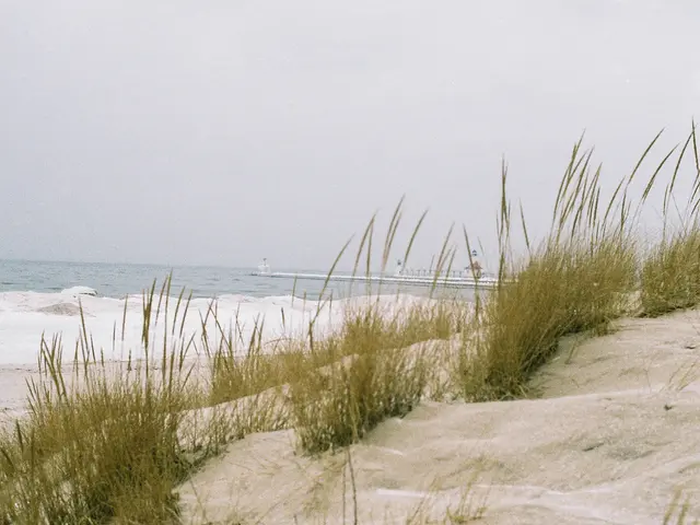 Robot assumes garden maintenance duties on synthetic lawn