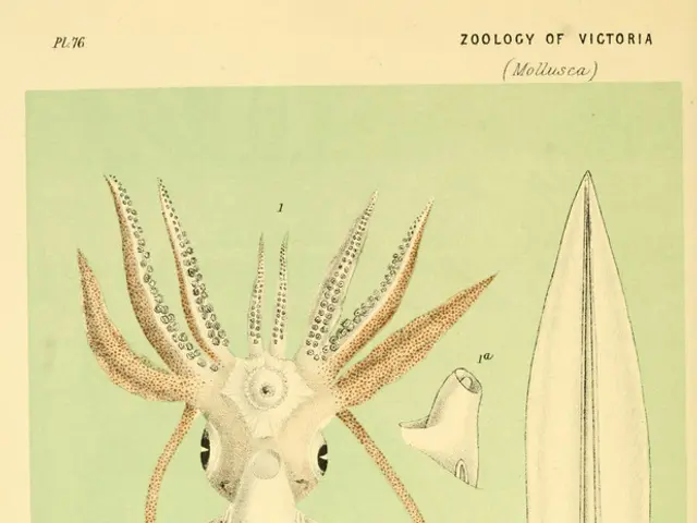 Discoveries in Magnetic Field Research: Recent Progress in Magnet Detection Technology