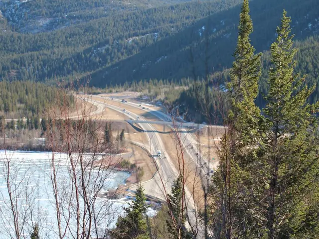 Selecting the Appropriate Motor Oil: A Guide