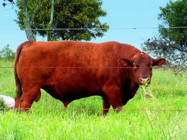 Bitcoin's price faces a challenge at the 119,000 barrier as enthusiastic investors find it tough to...