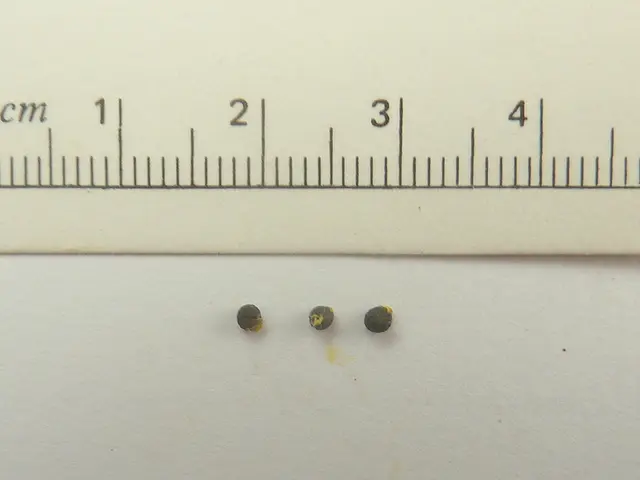 BGA (Ball Grid Array): Characteristics, Soldering Process, and X-Ray Examination Technique