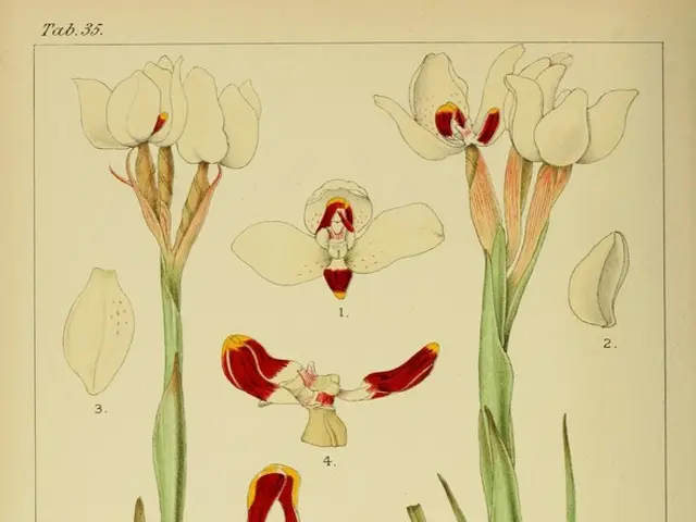 Twelfth edition of the "No Bees, No Life" magazine on our site has been made public