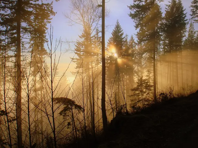 Satellite endeavor, named Nuanua, initiated by Orange in Wallis and Futuna