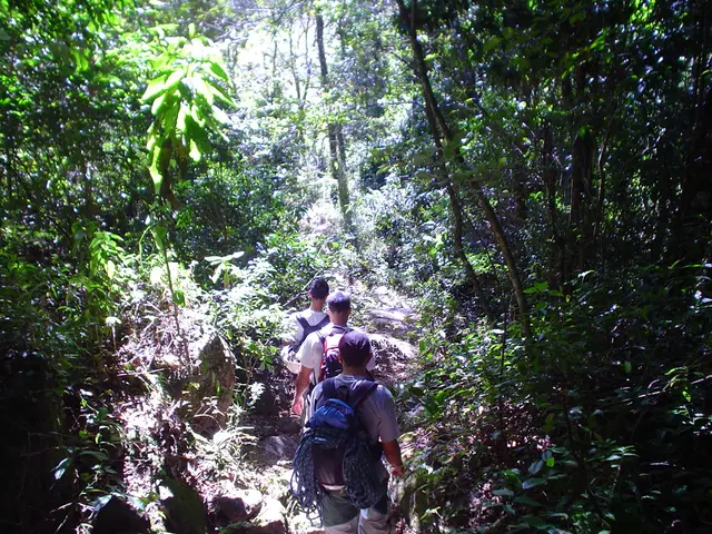 Explore All Possible Routes Connecting Two Nodes