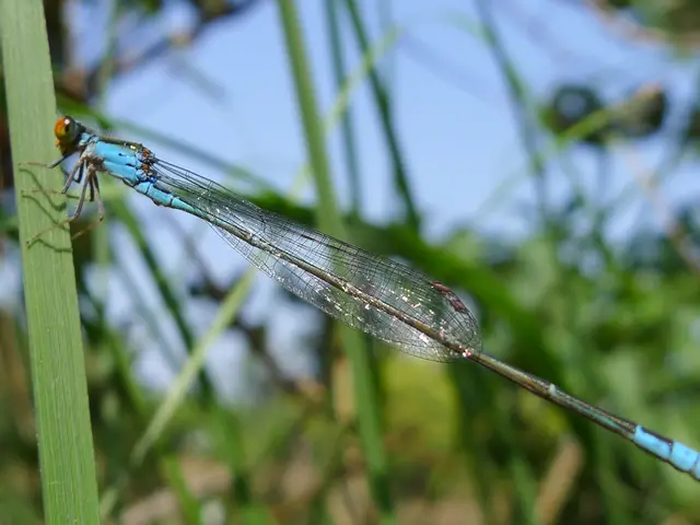 PHP Critical Vulnerability Under Active Exploitation - Study Suggests Ease of Exploitation is High