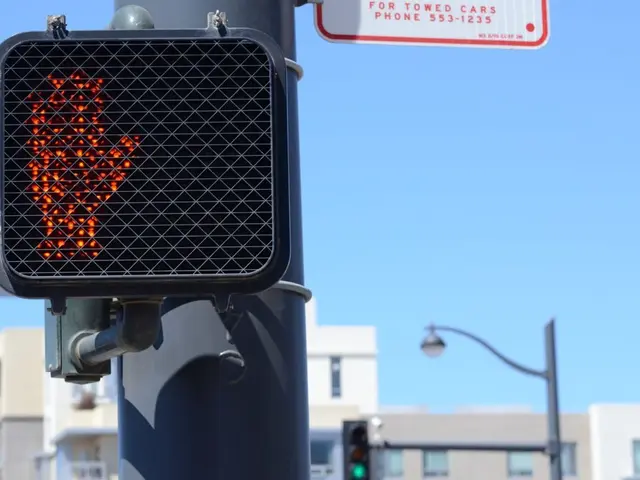 South Africa Considers Altering Ownership Regulations to Facilitate Starlink's Activation