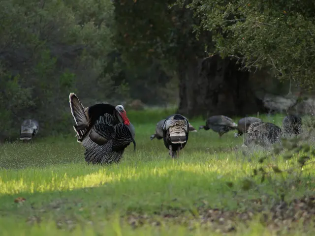 Turkish President pays a visit to Massachusetts Institute of Technology (MIT)