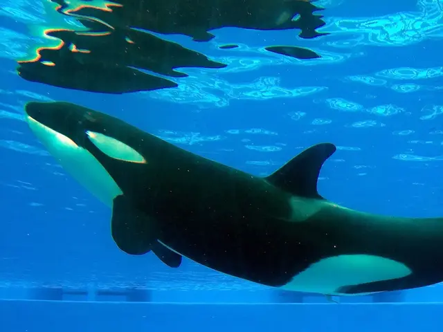 Uniswap June Price Outlook