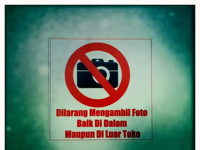 Investing in Intel Stock After its Post-Earnings Slump: Worth the Risk?