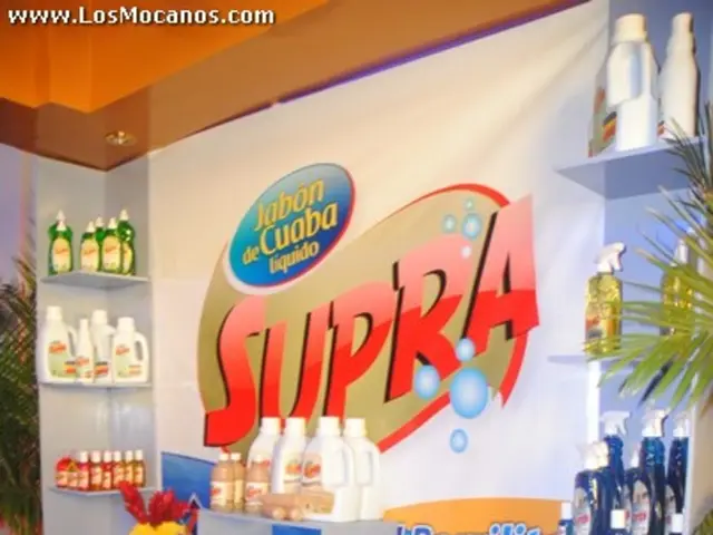 Brand Experience Essentials: Definition and Importance