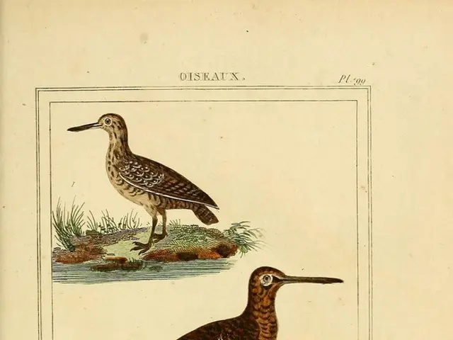 "Reawakening Giant Moas: De-extinction Firm Predicts Moa Resurrection within Decade"