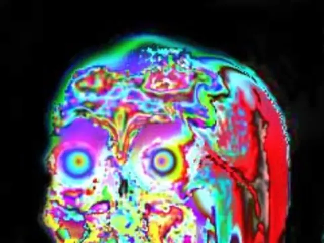 Unraveling the 230-year-old enigma: Did researchers finally reveal Mozart's true visage?