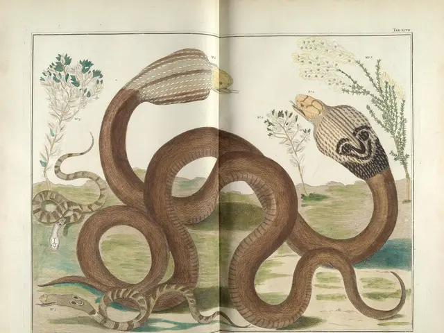 Florida Deploys Mechanized Rabbits to Counteract Massive Foreign Snake Infestation