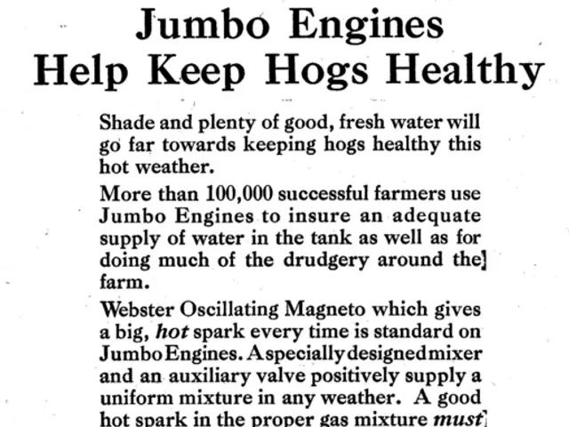 AI Grammar Watchdog: Your Sanctuary Against Errors