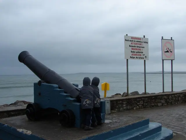 Transformation in warfare requires defence companies to adapt, according to ALEX BRUMMER