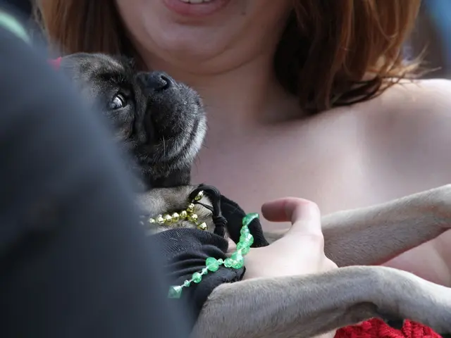 Tips to Ponder Before Embarking on a Hosting Reseller Venture