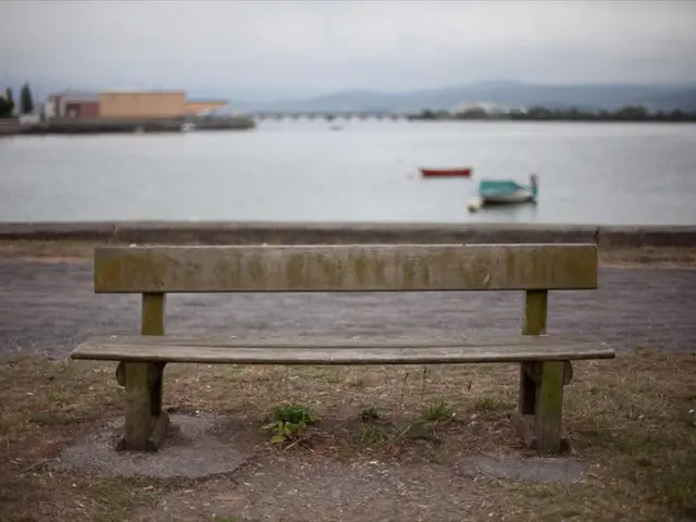 All-new Google AI technology simplifies global terrain by dividing it into 10-meter-square...