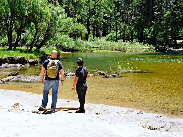 Financial services provider Ecommpay assists The Money Platform with an Open Banking solution...