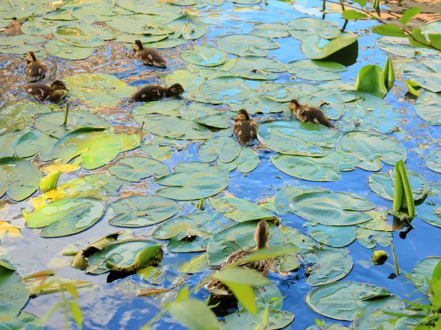 Tech giant Microsoft shells out $250,000 to a university in exchange for incorporating Office 365...