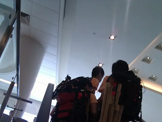 Expanding Europe's ESG Start-ups: Growing from Local Roots to International Impact