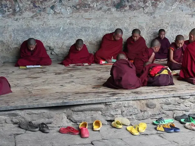 Monastery of Shaolin should commit to celibacy, not financial austerity
