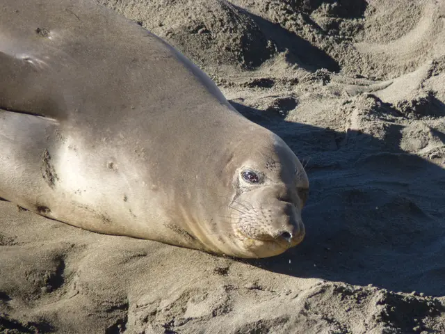 Obtaining and Applying the EPREL Electronic Seal: A Step-by-Step Guide