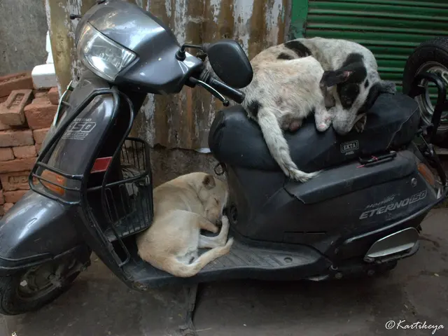 Tesla truck's air suspension spontaneously ruptured with a sharp explosion, occurring when...