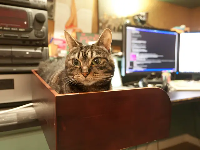 Unveiling Insights: David Hill, acclaimed ThinkPad designer, shares hidden concepts and abandoned...